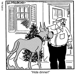marmaduke